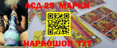 гашик Будённовск