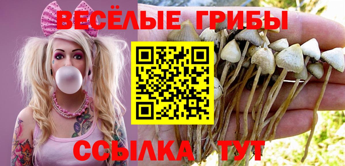 Чебаркуль  Галлюциногенные грибы Magic Shrooms  Вход с VPN  Псилоцибиновые грибы Cubensis 